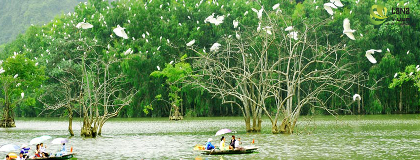 Viet Nam Highlights